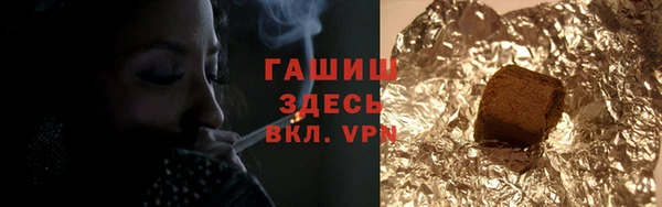 гашик Алексин