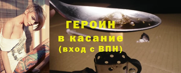 гашик Алексин