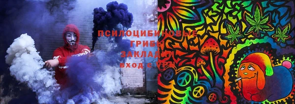 гашик Алексин