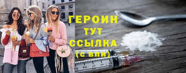 гашик Алексин