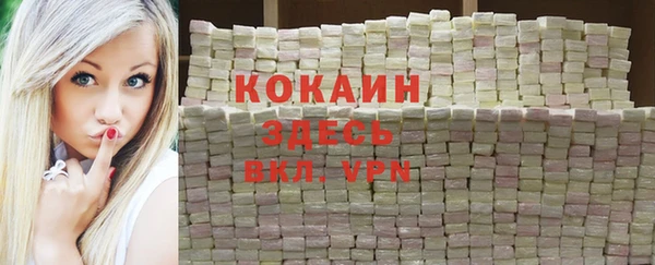гашик Алексин