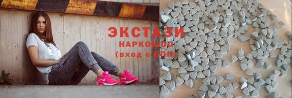 гашик Алексин