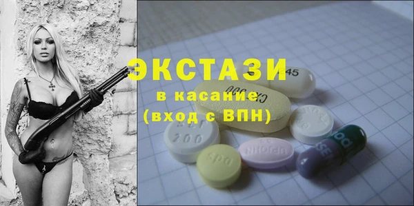 гашик Алексин