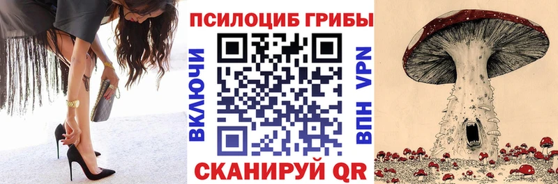 Галлюциногенные грибы Psilocybe  ОМГ ОМГ ТОР  Бокситогорск 